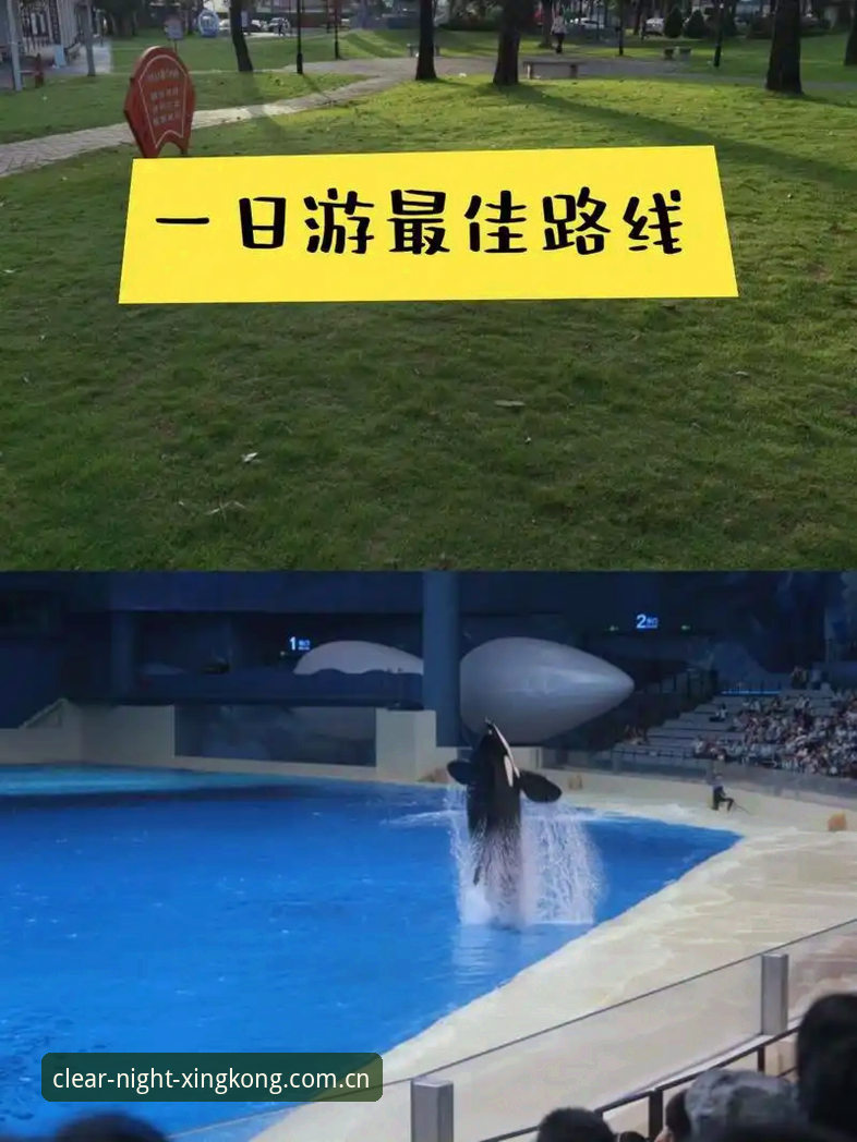 陪你看每一场晴夜同类星空APP评测攻略 星空体育平台评测攻略最新动态:陪你看每一场晴夜同类星空APP评测,谁才是真正的直播替代方案?